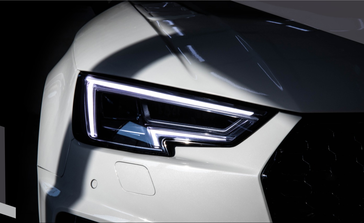 RavenShield Bulb Dark & Light