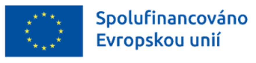 Implementace Age managementu ve firmě Ceiba, s.r.o.